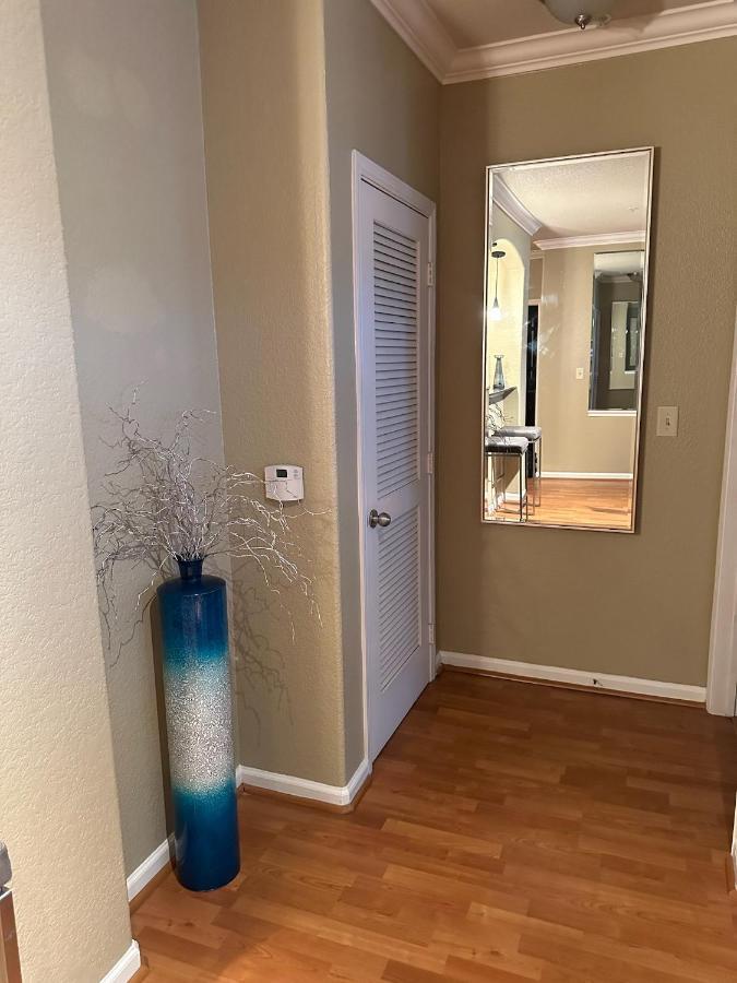 Blueplatinum Luxury Apartman Houston Kültér fotó
